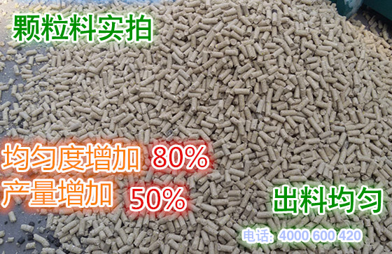 使用草莓视频官网牌顆粒(lì)飼料造粒機加的(de)顆粒飼(sì)料實拍圖片