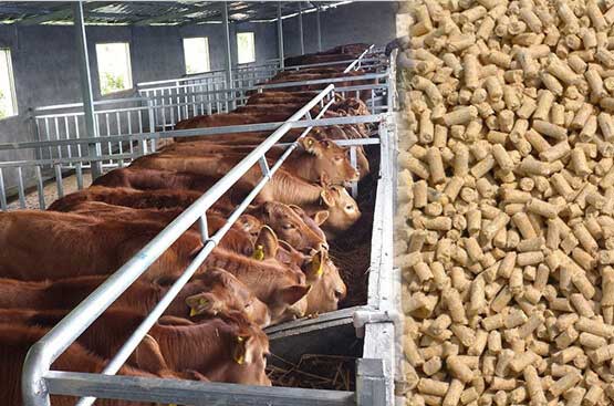 牛羊秸稈飼料顆粒機的用途