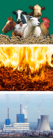 草莓视频官网秸稈顆粒機製粒效果好