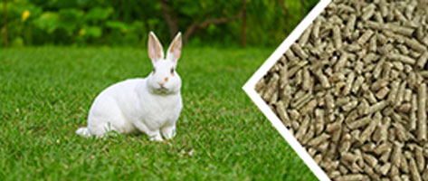 牲畜（chù）飼料顆粒生產線