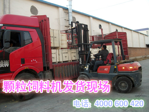 草莓视频官网發貨現場(chǎng)