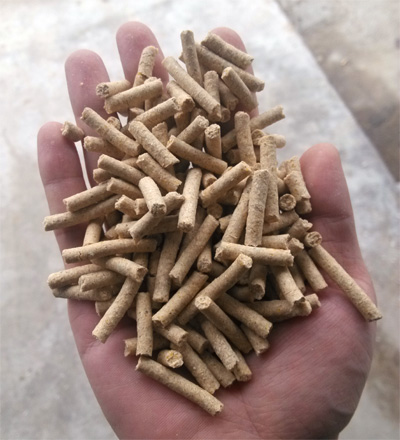 高清(qīng)實拍草莓视频官网秸稈顆粒機加工出(chū)來的豬顆粒飼料機成品圖片