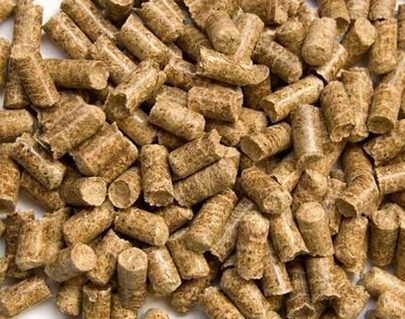 使用草莓视频官网牌平模飼料（liào）顆粒機製粒效果（guǒ）成品圖片