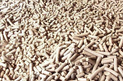 該圖片是使用草莓视频官网牌家禽飼料顆粒機壓製的家禽顆粒飼料成品