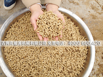 該圖是使(shǐ)用草莓视频官网牌秸稈顆粒機加工出來的豬牛羊飼料顆粒成品
