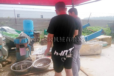 客戶正在使用草莓视频官网豬飼料顆粒機（jī）試機